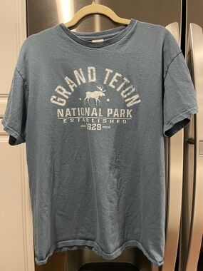 National Park Blue Graphic Tee  unisex